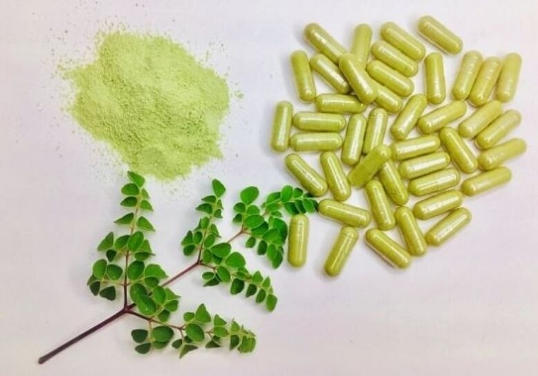 Moringa w proszku – must have zdrowego odżywiania