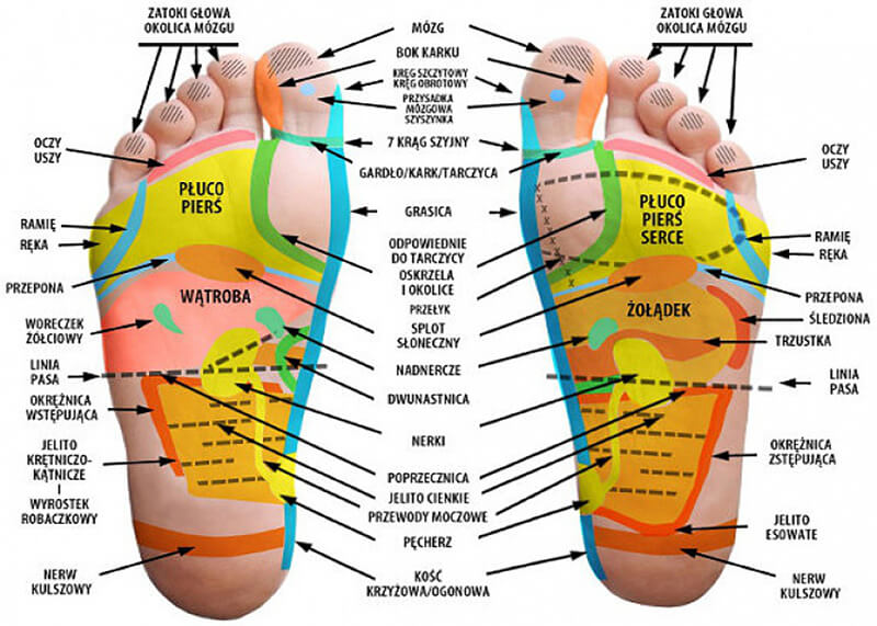 Refleksologia. Punkty na stopach, grafika